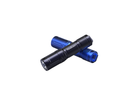 Zwei schwarze LED-Taschenlampen mit blauem Schraubverschluss, modern und kompakt